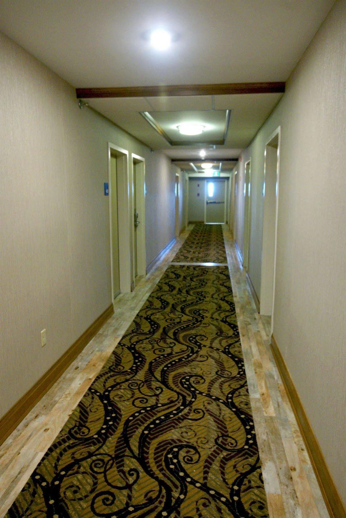 Holiday Inn Express Hotel & Suites Uptown Fredericton By Ihg Bagian luar foto